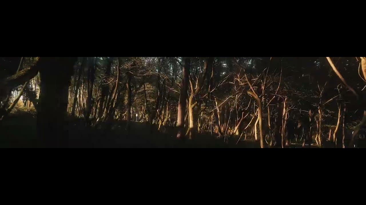 VR Shekvetili Forest~Beach | By Paragraph – სადაც ბუნება თქვენი ყოველდღიურობის ნაწილი ხდება