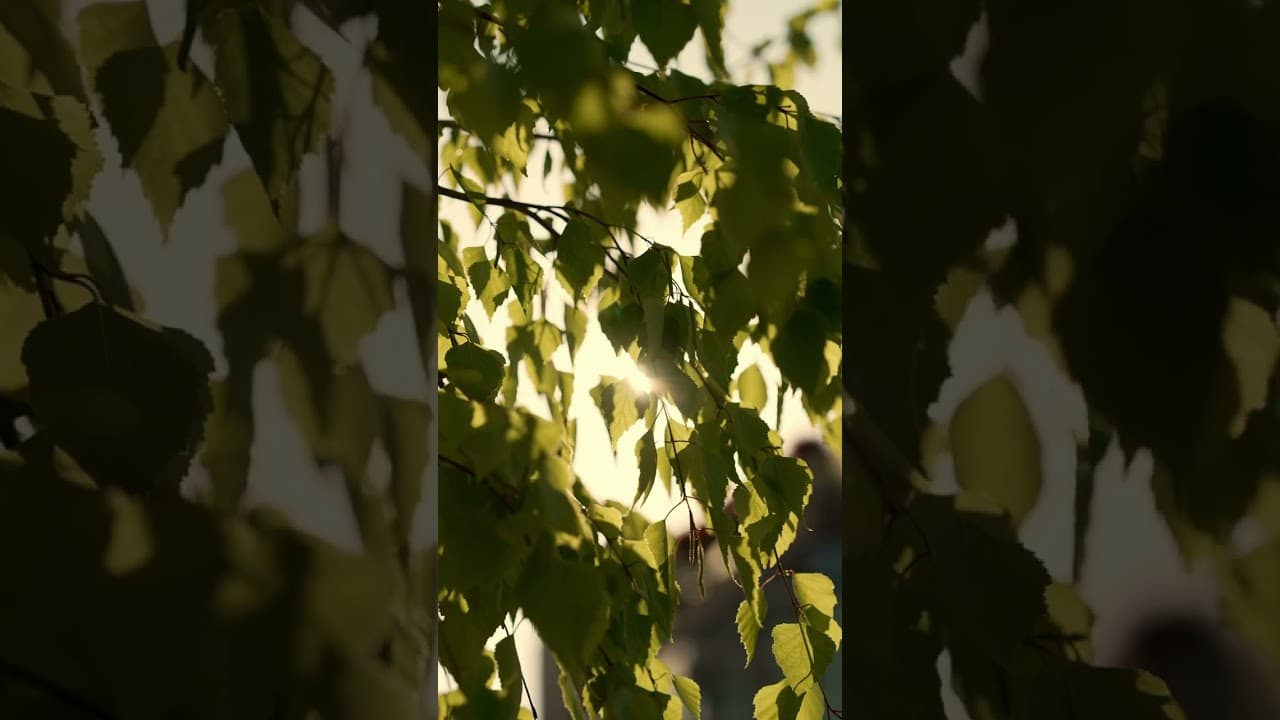 უნიკალური საცხოვრებელი კომპლექსი მრავალფეროვანი ინფრასტრუქტურით.