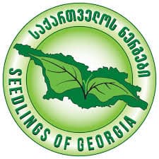 Seedlings of Georgia
